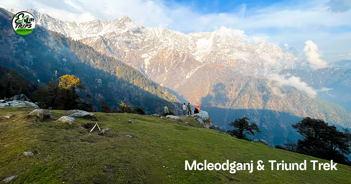 McLeodganj & Triund Trek